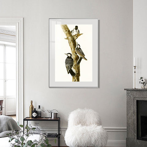 INVIN ART Metal Framed Canvas Series#138 by John James Audubon Wall Art Living Room Home Office Decorations