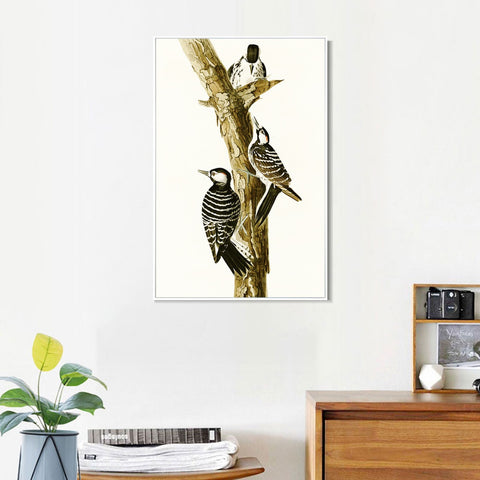 INVIN ART Framed Canvas Series#138 by John James Audubon Wall Art Living Room Home Office Decorations