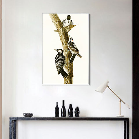 INVIN ART Framed Canvas Series#138 by John James Audubon Wall Art Living Room Home Office Decorations