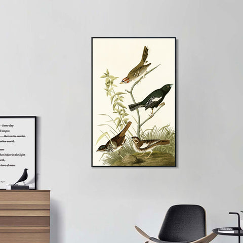 INVIN ART Framed Canvas Series#139 by John James Audubon Wall Art Living Room Home Office Decorations