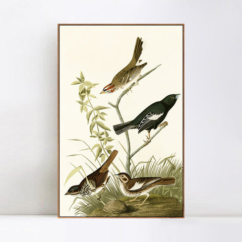 INVIN ART Framed Canvas Series#139 by John James Audubon Wall Art Living Room Home Office Decorations