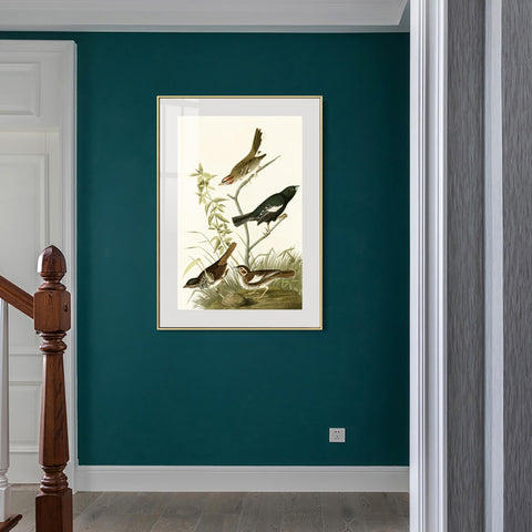 INVIN ART Metal Framed Canvas Series#139 by John James Audubon Wall Art Living Room Home Office Decorations