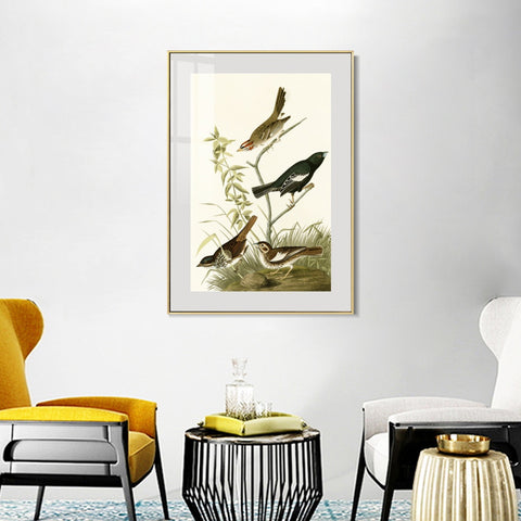 INVIN ART Metal Framed Canvas Series#139 by John James Audubon Wall Art Living Room Home Office Decorations