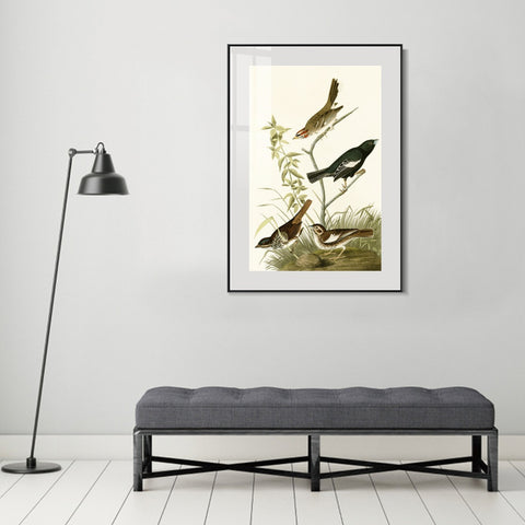 INVIN ART Metal Framed Canvas Series#139 by John James Audubon Wall Art Living Room Home Office Decorations
