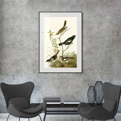 INVIN ART Metal Framed Canvas Series#139 by John James Audubon Wall Art Living Room Home Office Decorations