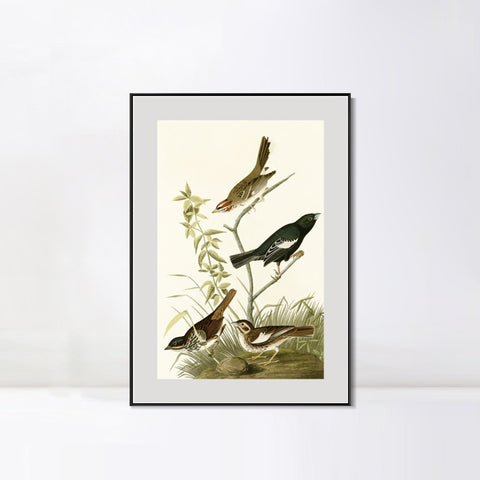 INVIN ART Metal Framed Canvas Series#139 by John James Audubon Wall Art Living Room Home Office Decorations