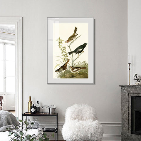 INVIN ART Metal Framed Canvas Series#139 by John James Audubon Wall Art Living Room Home Office Decorations