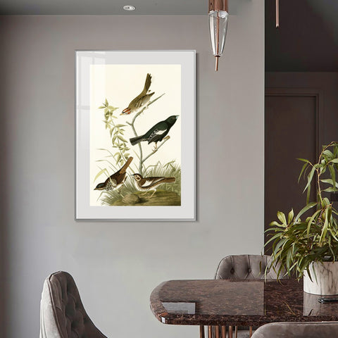 INVIN ART Metal Framed Canvas Series#139 by John James Audubon Wall Art Living Room Home Office Decorations