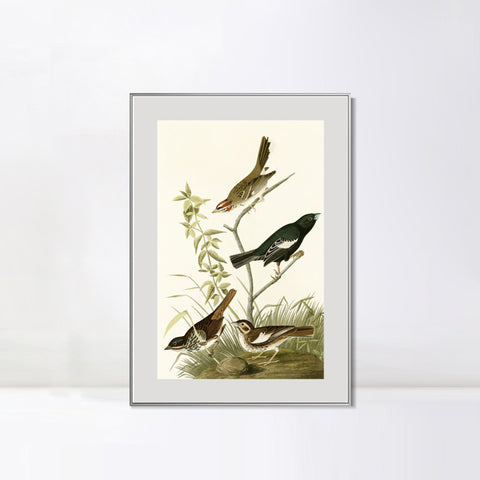 INVIN ART Metal Framed Canvas Series#139 by John James Audubon Wall Art Living Room Home Office Decorations