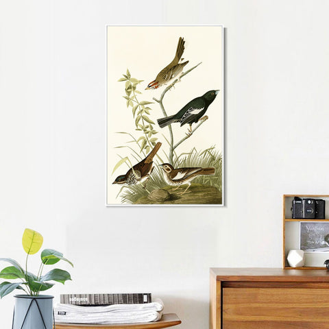 INVIN ART Framed Canvas Series#139 by John James Audubon Wall Art Living Room Home Office Decorations