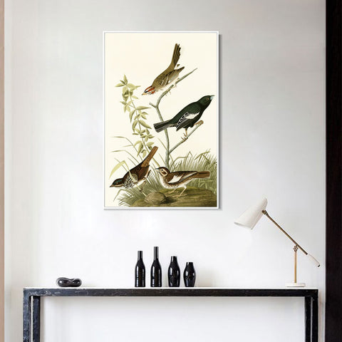 INVIN ART Framed Canvas Series#139 by John James Audubon Wall Art Living Room Home Office Decorations