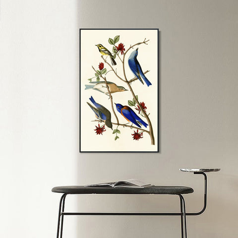 INVIN ART Framed Canvas Series#140 by John James Audubon Wall Art Living Room Home Office Decorations