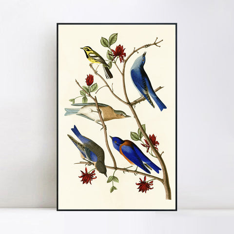 INVIN ART Framed Canvas Series#140 by John James Audubon Wall Art Living Room Home Office Decorations