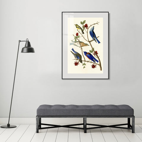 INVIN ART Metal Framed Canvas Series#140 by John James Audubon Wall Art Living Room Home Office Decorations