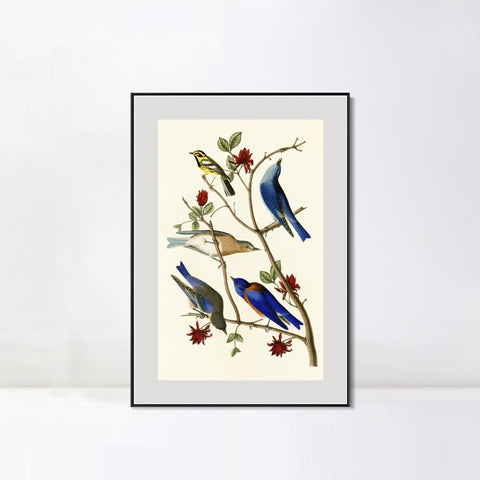 INVIN ART Metal Framed Canvas Series#140 by John James Audubon Wall Art Living Room Home Office Decorations