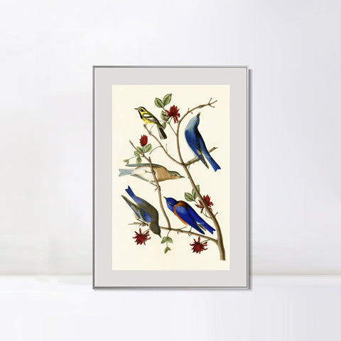 INVIN ART Metal Framed Canvas Series#140 by John James Audubon Wall Art Living Room Home Office Decorations