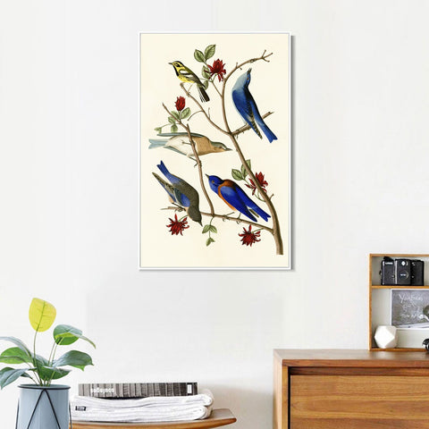 INVIN ART Framed Canvas Series#140 by John James Audubon Wall Art Living Room Home Office Decorations