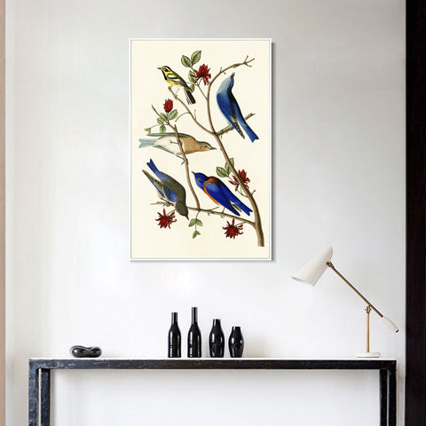 INVIN ART Framed Canvas Series#140 by John James Audubon Wall Art Living Room Home Office Decorations
