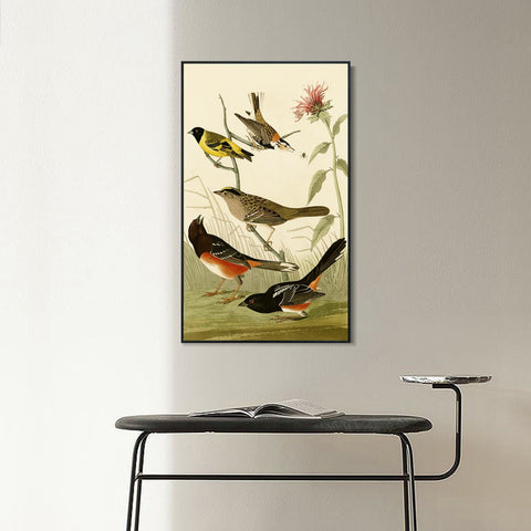 INVIN ART Framed Canvas Series#141 by John James Audubon Wall Art Living Room Home Office Decorations