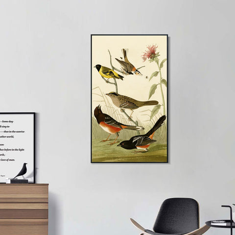 INVIN ART Framed Canvas Series#141 by John James Audubon Wall Art Living Room Home Office Decorations