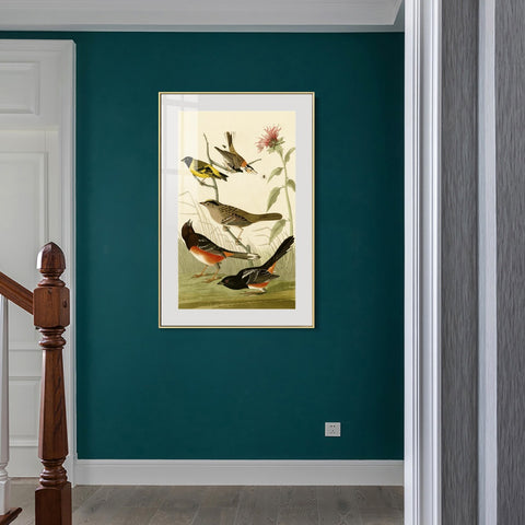 INVIN ART Metal Framed Canvas Series#141 by John James Audubon Wall Art Living Room Home Office Decorations