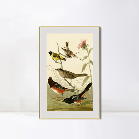 INVIN ART Metal Framed Canvas Series#141 by John James Audubon Wall Art Living Room Home Office Decorations