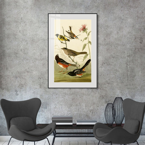 INVIN ART Metal Framed Canvas Series#141 by John James Audubon Wall Art Living Room Home Office Decorations