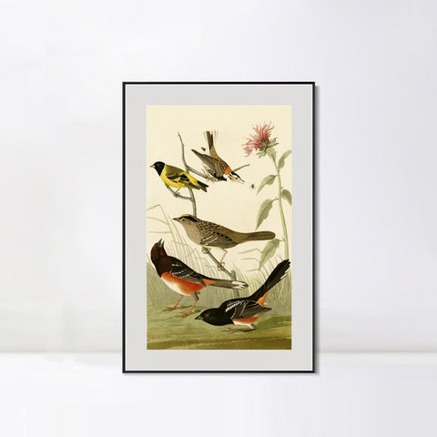 INVIN ART Metal Framed Canvas Series#141 by John James Audubon Wall Art Living Room Home Office Decorations