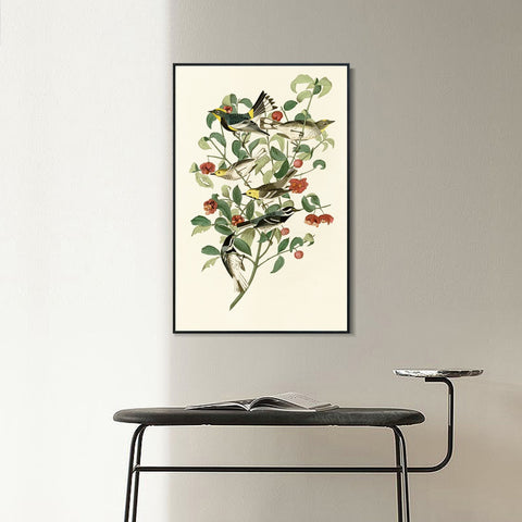 INVIN ART Framed Canvas Series#142 by John James Audubon Wall Art Living Room Home Office Decorations