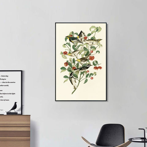 INVIN ART Framed Canvas Series#142 by John James Audubon Wall Art Living Room Home Office Decorations