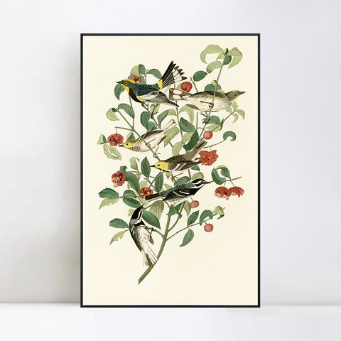 INVIN ART Framed Canvas Series#142 by John James Audubon Wall Art Living Room Home Office Decorations