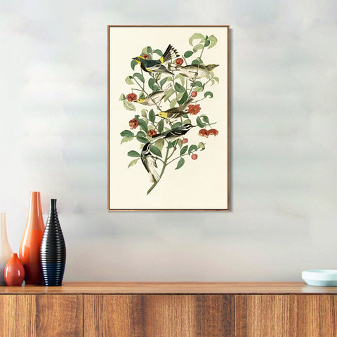 INVIN ART Framed Canvas Series#142 by John James Audubon Wall Art Living Room Home Office Decorations