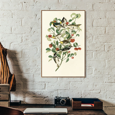 INVIN ART Framed Canvas Series#142 by John James Audubon Wall Art Living Room Home Office Decorations