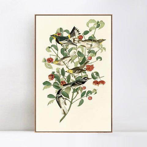 INVIN ART Framed Canvas Series#142 by John James Audubon Wall Art Living Room Home Office Decorations