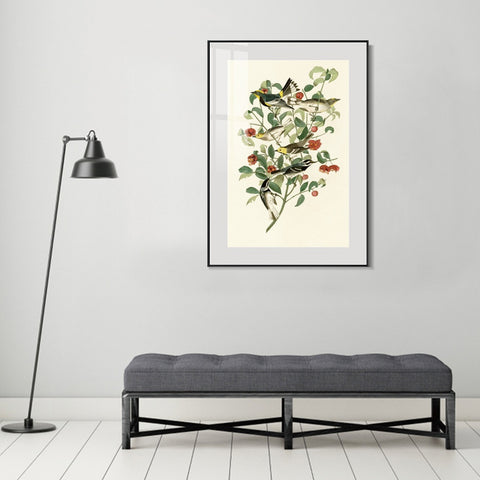 INVIN ART Metal Framed Canvas Series#142 by John James Audubon Wall Art Living Room Home Office Decorations