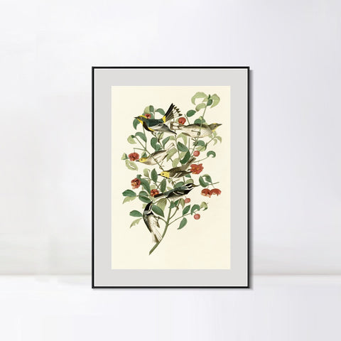 INVIN ART Metal Framed Canvas Series#142 by John James Audubon Wall Art Living Room Home Office Decorations