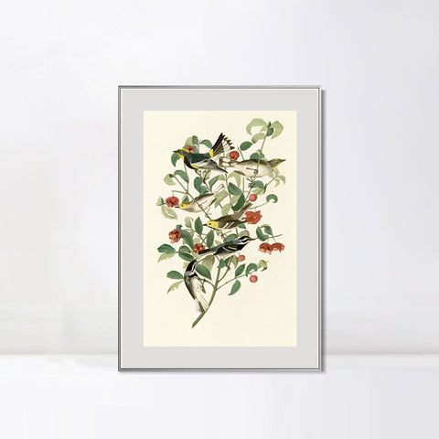 INVIN ART Metal Framed Canvas Series#142 by John James Audubon Wall Art Living Room Home Office Decorations