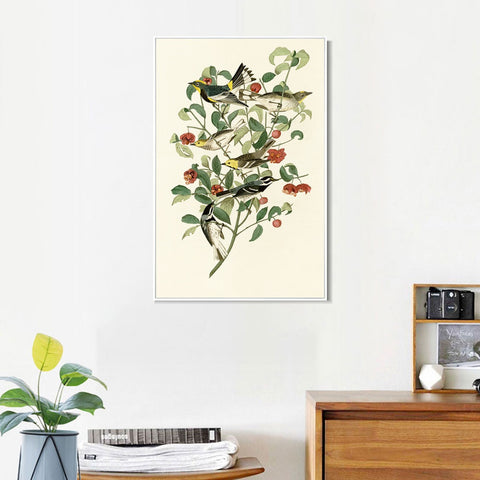 INVIN ART Framed Canvas Series#142 by John James Audubon Wall Art Living Room Home Office Decorations