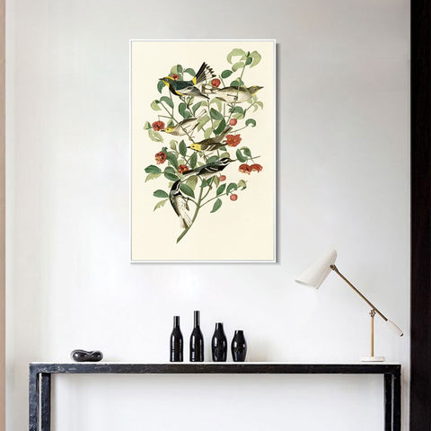 INVIN ART Framed Canvas Series#142 by John James Audubon Wall Art Living Room Home Office Decorations