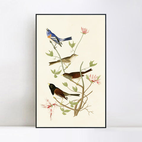 INVIN ART Framed Canvas Series#143 by John James Audubon Wall Art Living Room Home Office Decorations