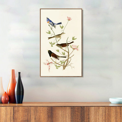 INVIN ART Framed Canvas Series#143 by John James Audubon Wall Art Living Room Home Office Decorations