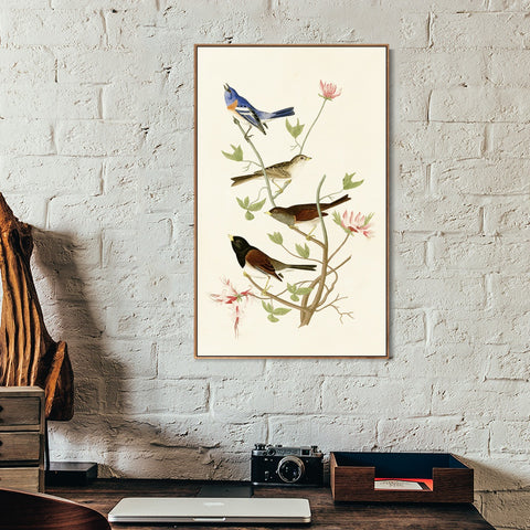 INVIN ART Framed Canvas Series#143 by John James Audubon Wall Art Living Room Home Office Decorations