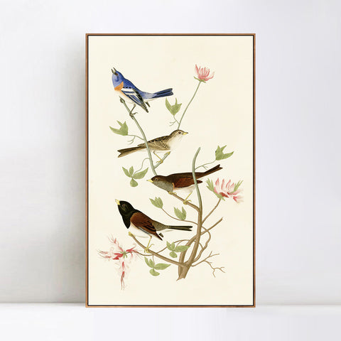 INVIN ART Framed Canvas Series#143 by John James Audubon Wall Art Living Room Home Office Decorations