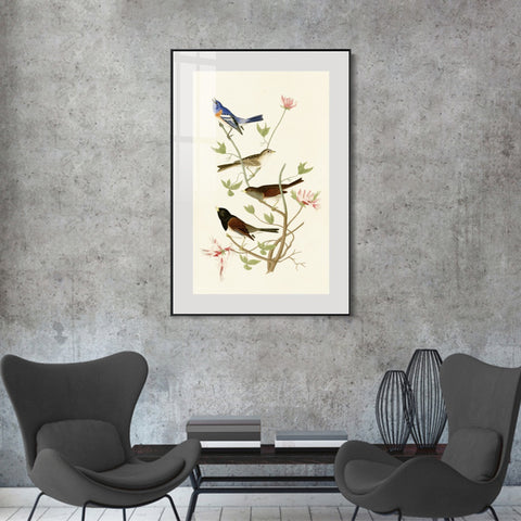 INVIN ART Metal Framed Canvas Series#143 by John James Audubon Wall Art Living Room Home Office Decorations