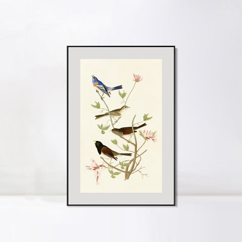 INVIN ART Metal Framed Canvas Series#143 by John James Audubon Wall Art Living Room Home Office Decorations