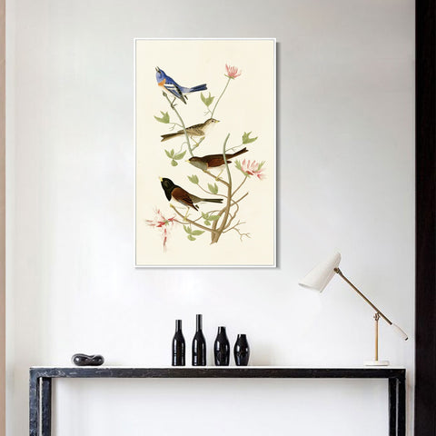INVIN ART Framed Canvas Series#143 by John James Audubon Wall Art Living Room Home Office Decorations
