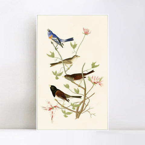 INVIN ART Framed Canvas Series#143 by John James Audubon Wall Art Living Room Home Office Decorations