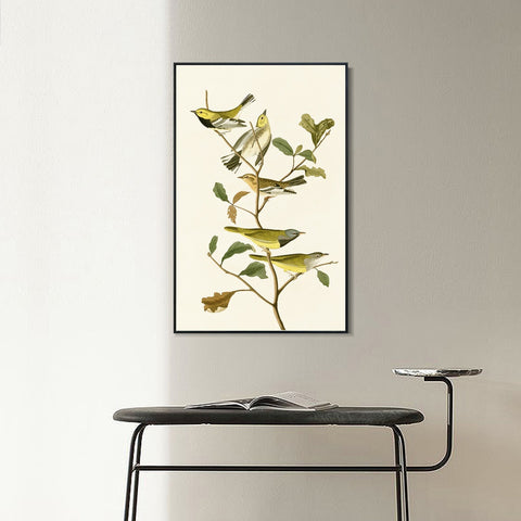 INVIN ART Framed Canvas Series#144 by John James Audubon Wall Art Living Room Home Office Decorations