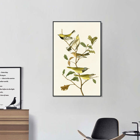 INVIN ART Framed Canvas Series#144 by John James Audubon Wall Art Living Room Home Office Decorations