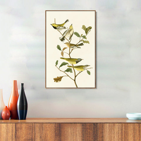 INVIN ART Framed Canvas Series#144 by John James Audubon Wall Art Living Room Home Office Decorations